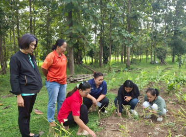 กองประสานงานโครงการพระราชดำริ ลงพื้นที่ ... พารามิเตอร์รูปภาพ 9